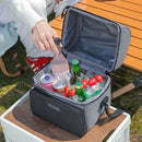 Axyaa Multicolor Insulated Lunch Bag: Double-Layer Portable Work Lunch Box, Large Capacity