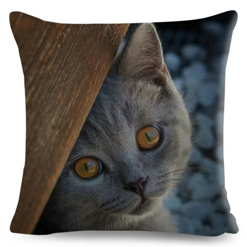 Axyaa Fold Ear Cat Pillow Covers - Set of 2 Cute Pet Pillowcases