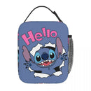 Axyaa Insulated Lunch Bag Portable Thermal Cooler for School Office