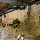 Axyaa Nordic Pendant Lights - Designer Modern Flower Pot Hanglamp for Home Decor