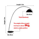 Axyaa Modern Minimalist Floor Lamp for Luxury Living Room and Bedroom