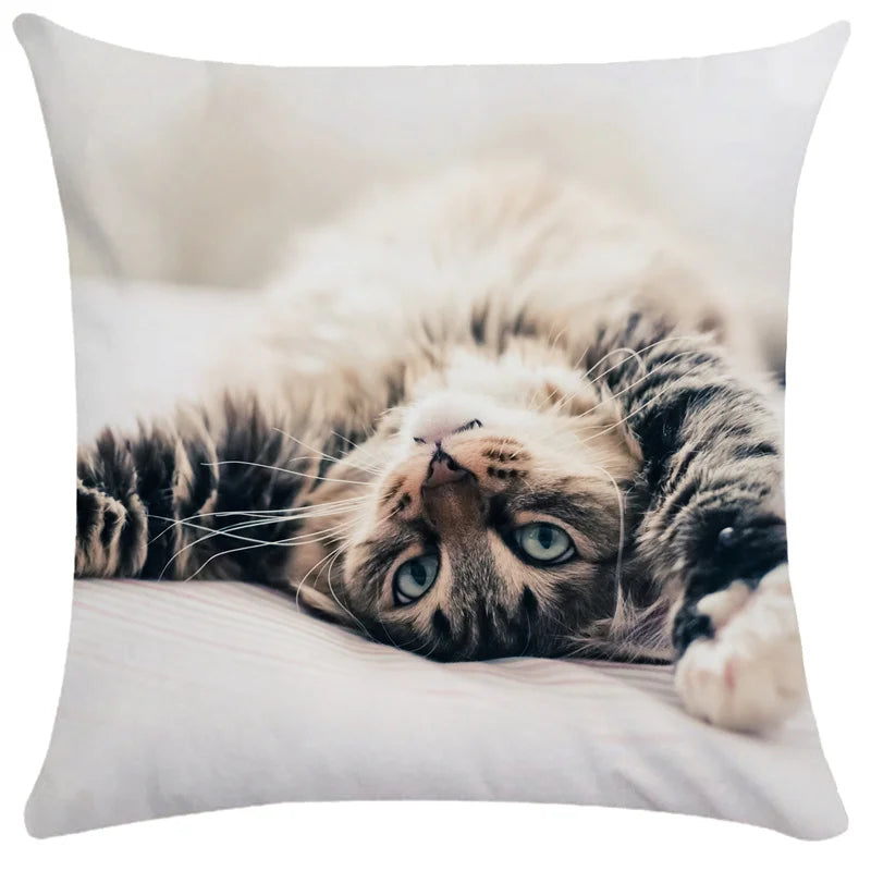 Axyaa Cute Cat Pillowcase Bubble Black  Kids Gift Decor Custom
