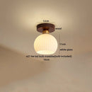 Axyaa Brass Glass LED Ceiling Light Modern Luminaria De Teto