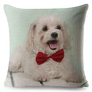 Maltese Dog Pillow Cover by Axyaa - Decorative Cushion Case for Home and Car