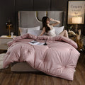 Axyaa Soybean Quilt: 4 Season Warmth, Single/Double, Thickened, Spring/Autumn/Winter