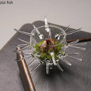 Axya Glass Dessert Bowl Set Irregular Dinner Plate Fruit Salad Ice Cream Dish