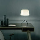 Axyaa Modern Italian Designer Tripod Desk Lamp Stainless Steel LED Home Decor