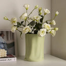 Axyaa Cream Ceramic Vase for Elegant Home Decor & Flower Arrangement