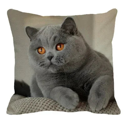 Axyaa British Shorthair Cat Pillow Cover 45X45cm Square Cushion