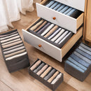Axyaa Garment Storage Box: Pants & Sweater Organizer for Wardrobe Organization