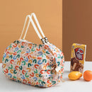 Axyaa Foldable Storage Bag with Handle | Portable Travel Handbag & Shopping Tote