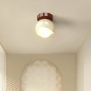 Axyaa Modern Glass Iron LED Ceiling Light for Home Aisle Restaurant Living Room Decor