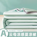 Axyaa Cool Summer Quilt - Single/Double Ice Silk Thin Quilt