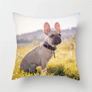 Axyaa French Bulldog Cushion Cover - 45X45CM