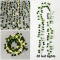 Axyaa Luminous Ivy Leaf Vines - Artificial Greenery Jungle Wall Decoration