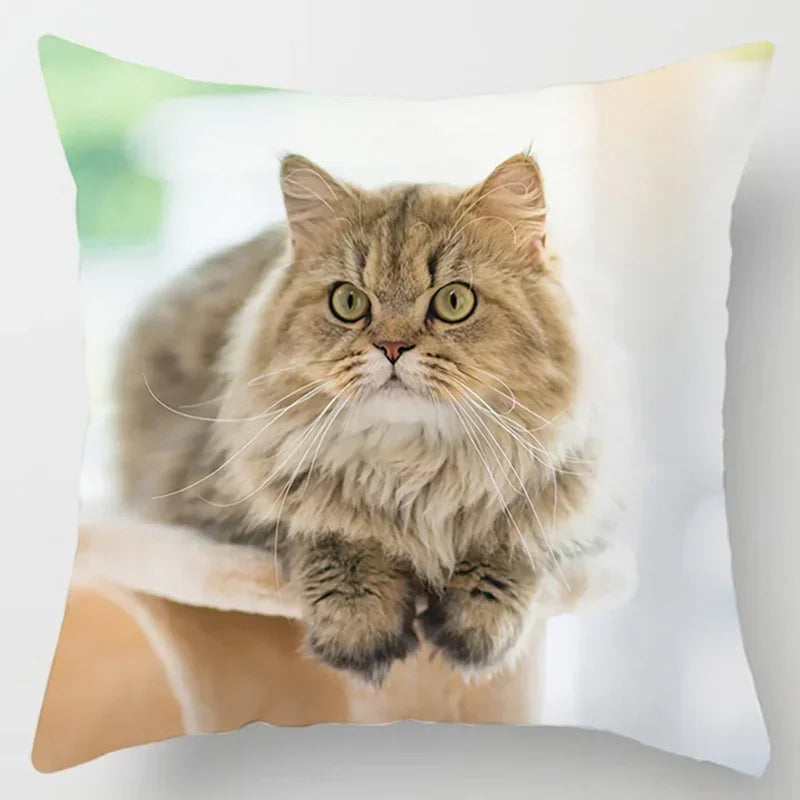 Axyaa Cat Collection Pillowcase - Home & Office Decor Square Pillowcase