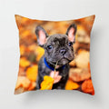 Axyaa French Bulldog Cushion Cover - 45X45CM