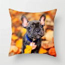 Axyaa French Bulldog Cushion Cover - 45X45CM