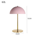 Axyaa Nordic LED Desk Light for Bedroom Study, Art Decoration