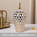 Axyaa Ceramic Vase: Electroplated Tall General Storage Jar Ornaments