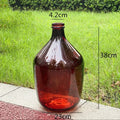 Axyaa Glass Vase: Big Belly Flower Arrangement Hydroponics Home Decoration