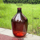 Axyaa Glass Vase: Big Belly Flower Arrangement Hydroponics Home Decoration