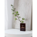 Axyaa Acrylic Flower Book Vase: Artistic Home Decor with Cultural Flair