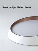 Axyaa Modern Minimalist LED Ceiling Lamp for Bedroom, Living Room, Dining Room