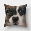 Dog Pattern Cushion Cover for Home Decor by Axyaa