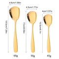 Axyaa Stainless Steel Large Rice Shovel Set for Kitchen Service