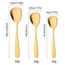 Axyaa Stainless Steel Large Rice Shovel Set for Kitchen Service