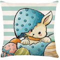 Axyaa Easter Decor Pillow Cover: Dwarf Bunny & Egg Print Farmhouse Sofa Cushion