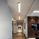 Axyaa Nordic LED Ceiling Lamp for Home Indoor Lighting in Living Room and Bedroom