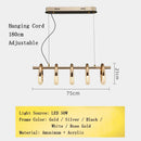 Axyaa Gold Ring LED Chandelier Pendant Lighting Fixture