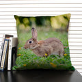 Axyaa Cute Dog Cat Pattern 45x45cm Linen Pillowcase for Living Room Sofa