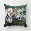 Cheetah Leopard Print Decorative Cushion Cover By Axyaa