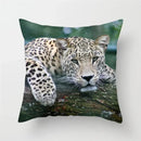 Cheetah Leopard Print Decorative Cushion Cover By Axyaa