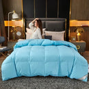 Luxury Axyaa White Goose Down Duvet Core - Warm, Double-Single Size