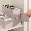 Axyaa Clothing Storage Box Drawer Organizer for Socks, Pants, Clothes - Bedroom Wardrobe Solution