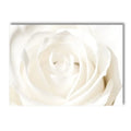 White Rose Dahlia Romantic Flower Palm Leaf Wall Art Canvas Painting Bedroom Decor Axyaa
