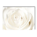 White Rose Dahlia Romantic Flower Palm Leaf Wall Art Canvas Painting Bedroom Decor Axyaa