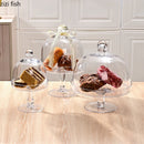 Axya High Cake Stand with Glass Cover: Elegant Dessert Display Tray for Cakes & Snacks