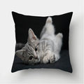 Cute Cat Print Cushion Cover for Sofa Decor by Axyaa