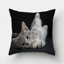 Cute Cat Print Cushion Cover for Sofa Decor by Axyaa