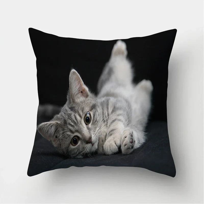 Cute Cat Print Cushion Cover for Sofa Decor by Axyaa