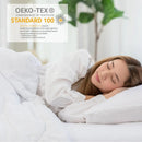 Axyaa Jewel Quilt Set - Full/Queen - Multicolor