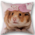 Axyaa Hamster Series Sofa Cushion Cover Pillowcase - Home Party Car Bedding