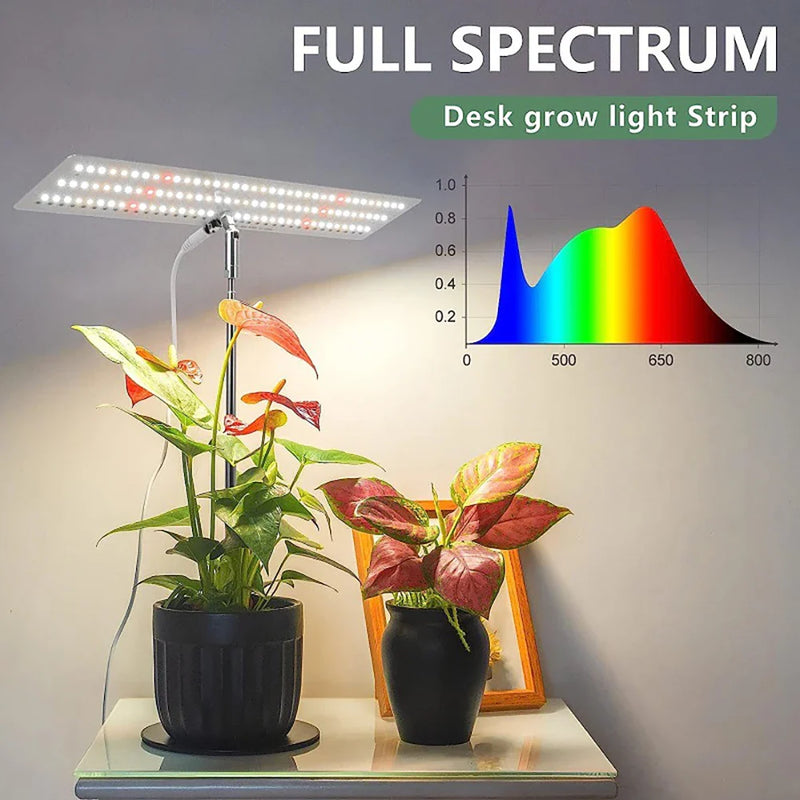 Axya LED Grow Light with 3 Timing Settings for Indoor Plant Growth