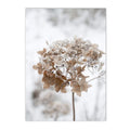 Axyaa Winter Lake Forest Owl Deer Snow Canvas Wall Art Print for Modern Home Decor