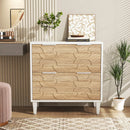 Axyaa 2-Drawer Lateral File Cabinet for Office Storage and Organization